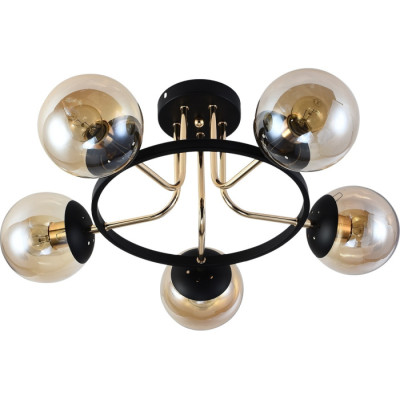 Потолочная люстра  01344-0.3-05 BK+FGD