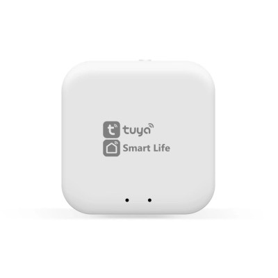 Wi-Fi конвертер Track System GL1920