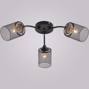 Потолочная люстра  01624-0.3-03 BK