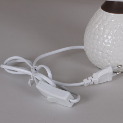 Интерьерная настольная лампа  00325-0.7-01