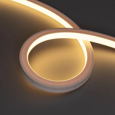 Гибкий неон  050606